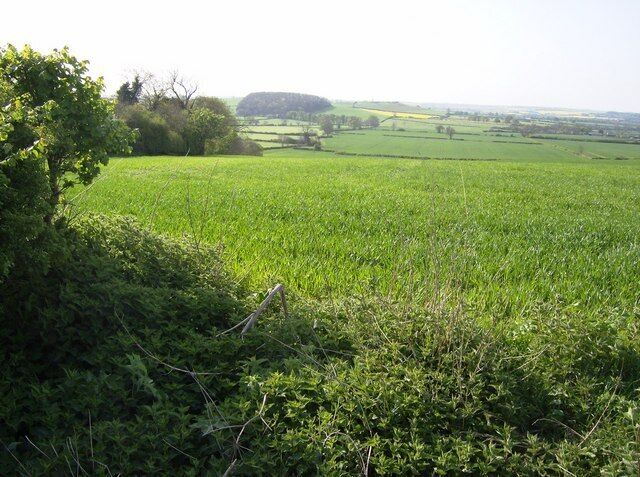 View from the top road The "top road" is the name given to the east-west road on the ridge above Little Brington village. The view from here, south, includes arable farmland nearest the camera.