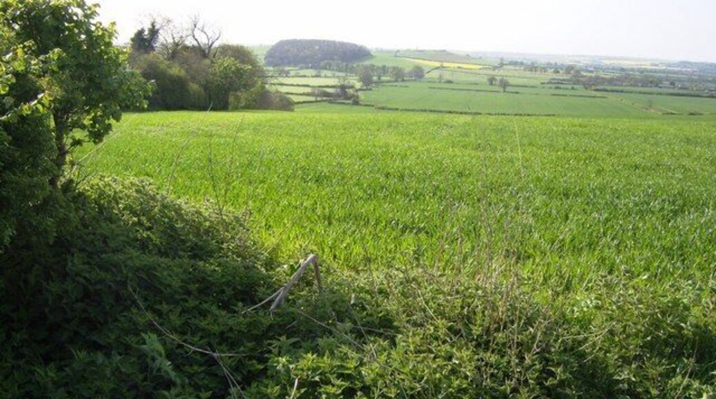 View from the top road The "top road" is the name given to the east-west road on the ridge above Little Brington village. The view from here, south, includes arable farmland nearest the camera.