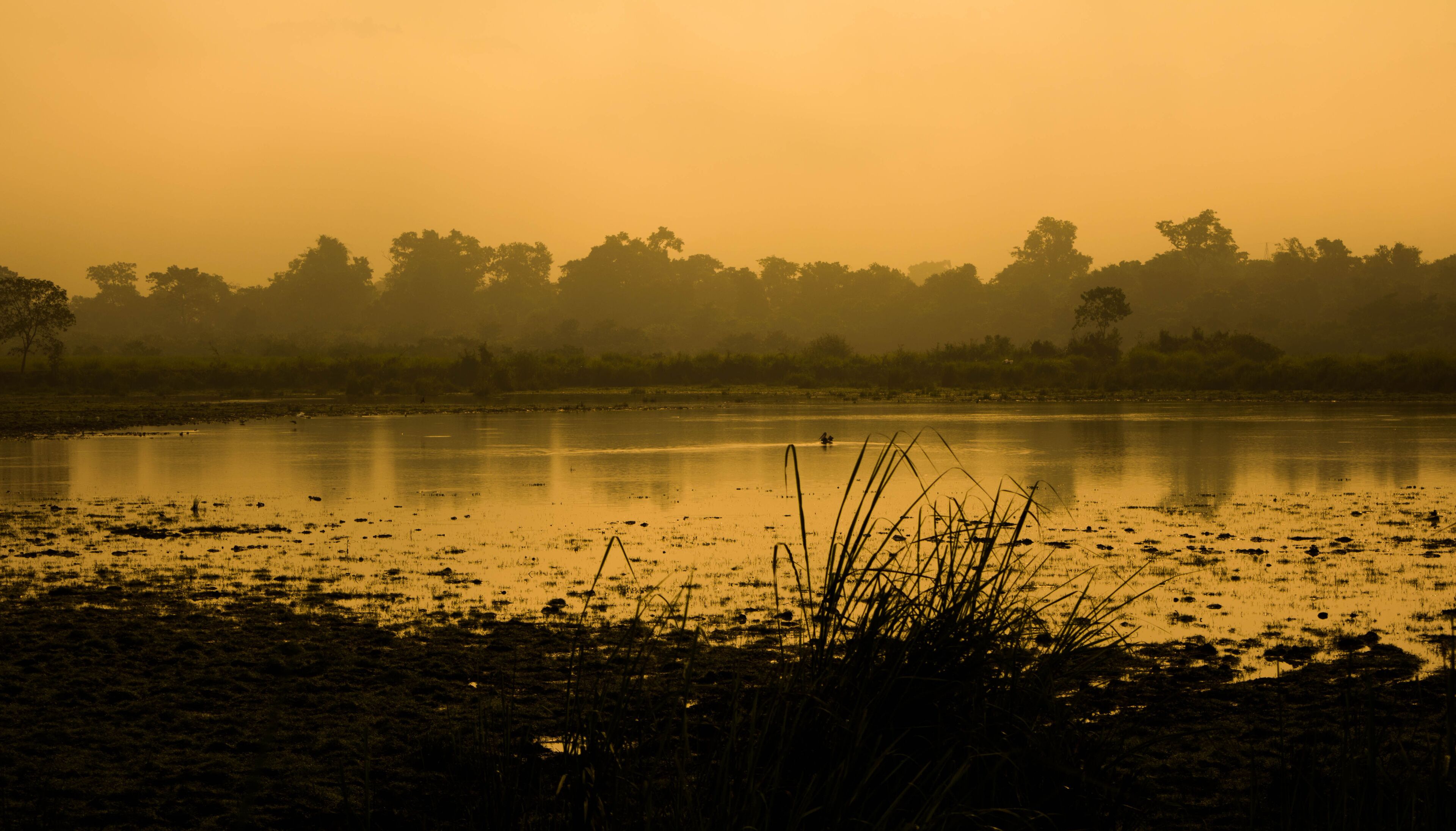 Evergreen rainforest mountains captured during an early foggy morning at Kaziranga National Park, Assam, Northeast, India.
