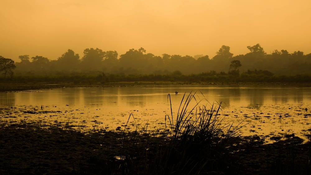 A misty lake with reflections, surrounded by trees and vegetation.