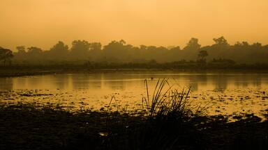 Evergreen rainforest mountains captured during an early foggy morning at Kaziranga National Park, Assam, Northeast, India.