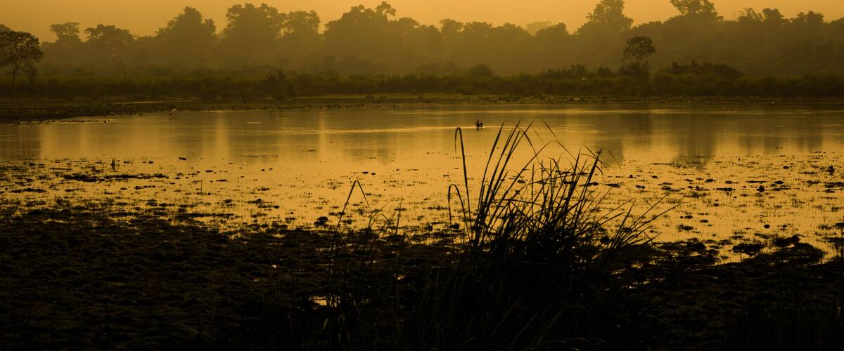 A misty lake with reflections, surrounded by trees and vegetation.
