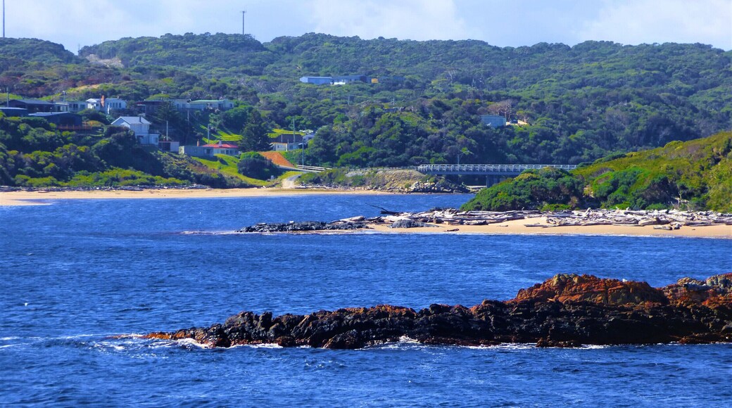 Where Arthur #River meets the Edge of the World sea!