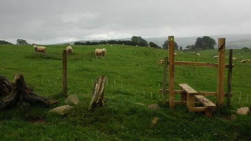 Footpath to Banks Farm Footpath across farmland to Banks Farm near Hesket Newmarket.