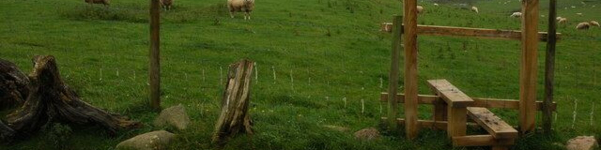 Footpath to Banks Farm Footpath across farmland to Banks Farm near Hesket Newmarket.