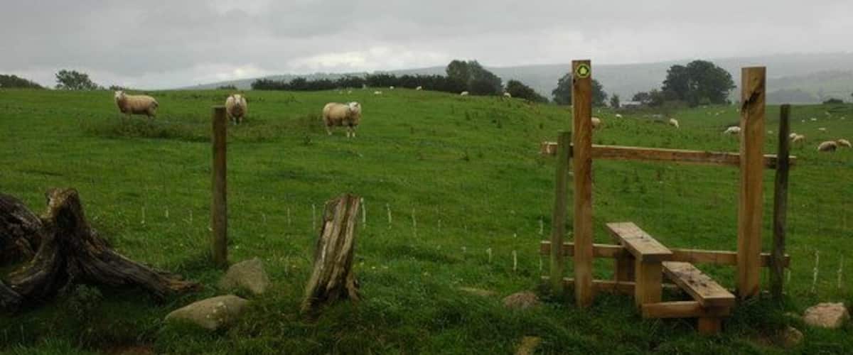 A grassy field with a wooden fence, rocks, and a picnic table.
