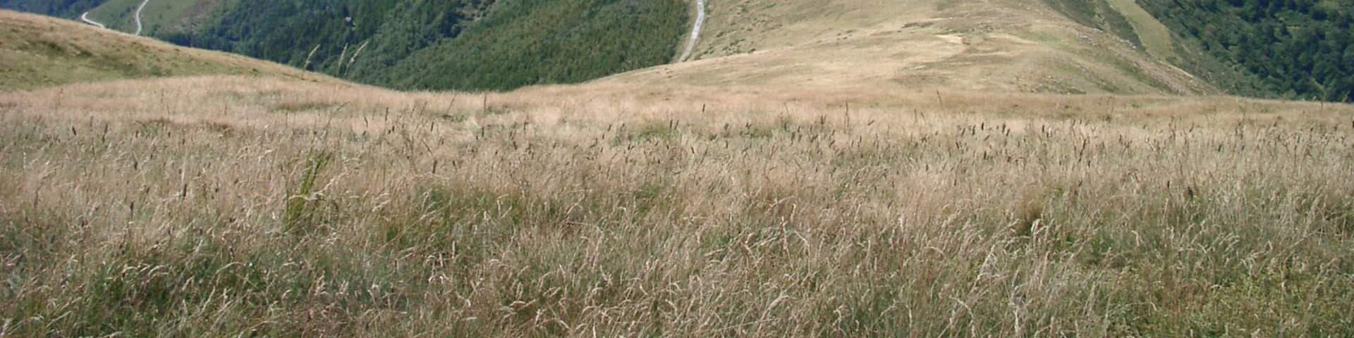 Blick vom Gipfel des Monte Bar ins Tessiner Bergland.Links liegt ein Teil des Lago di Lugano.Der Monte Bar liegt in der Nähe von Lugano im Schweizer Kanton Tessin.