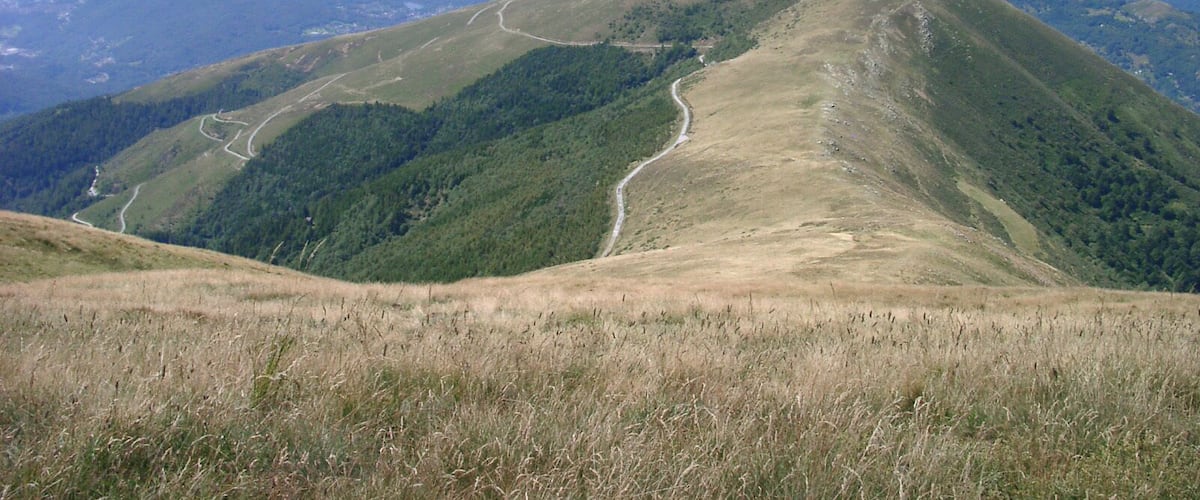 A mountain landscape with a winding road and dense forest areas.