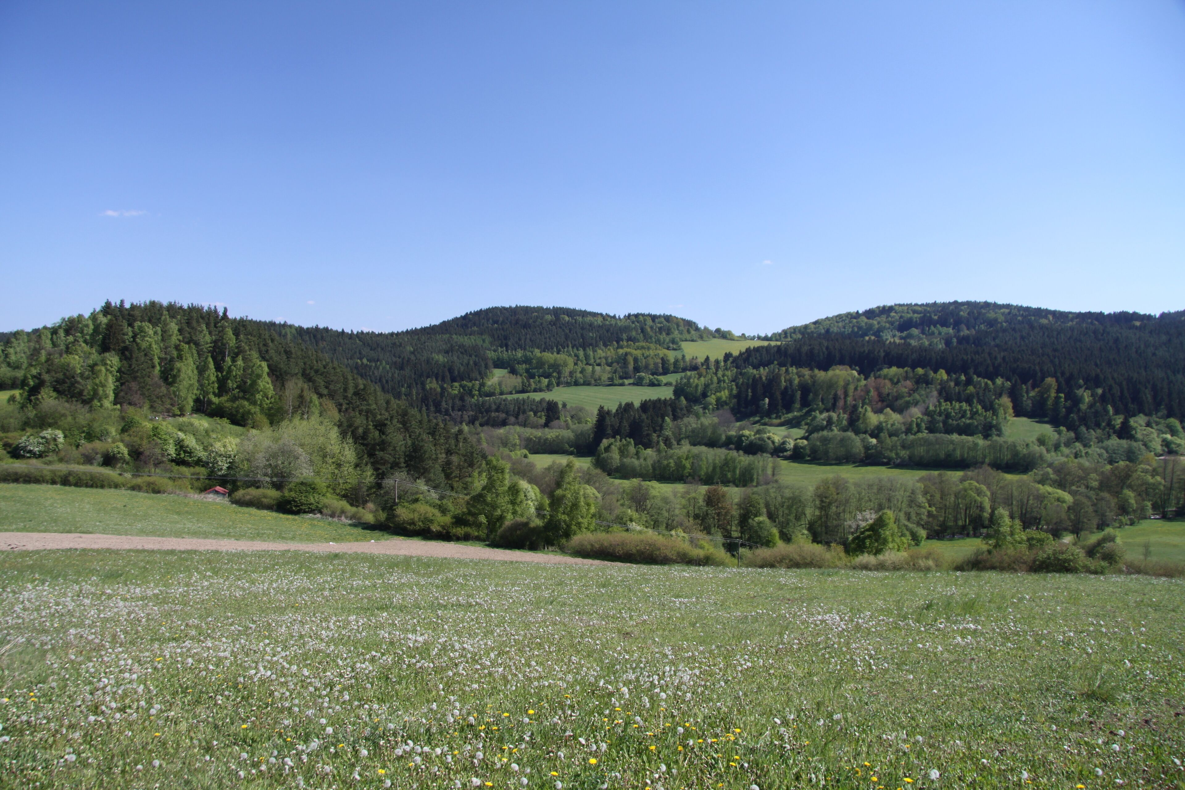 Natural monument U Narovců near Onšovice village in Prachatice District, Czech Republic