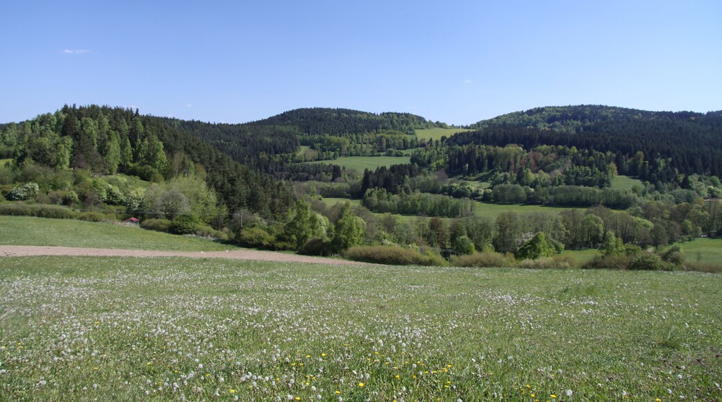 Natural monument U Narovců near Onšovice village in Prachatice District, Czech Republic
