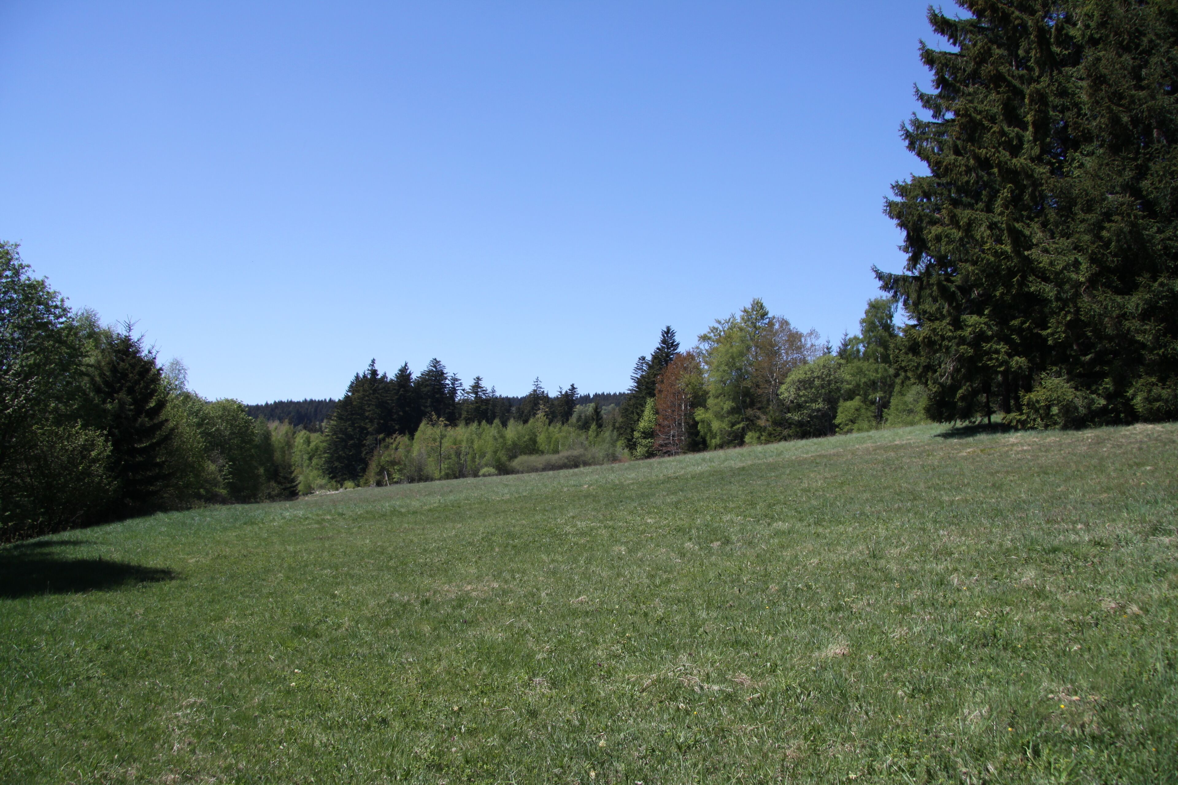 Natural reserve Nad Zavírkou near Stachy village in Prachatice District, Czech Republic
