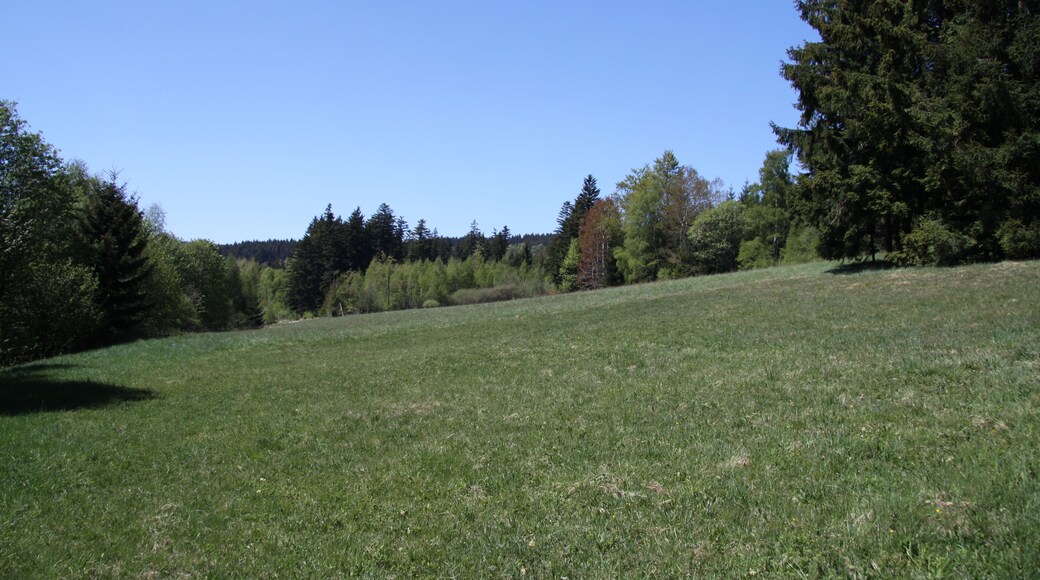 Natural reserve Nad Zavírkou near Stachy village in Prachatice District, Czech Republic