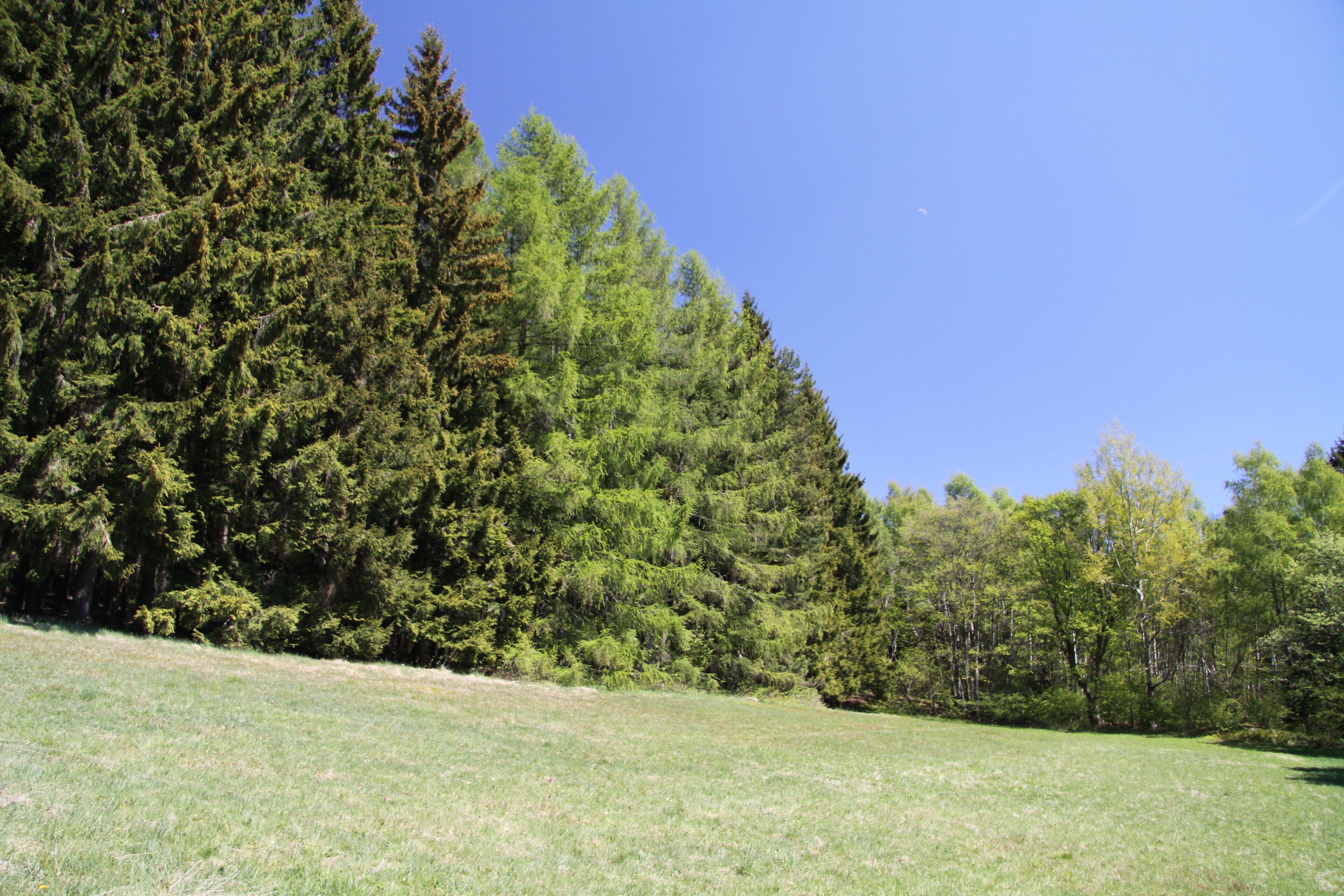 Natural reserve Nad Zavírkou near Stachy village in Prachatice District, Czech Republic