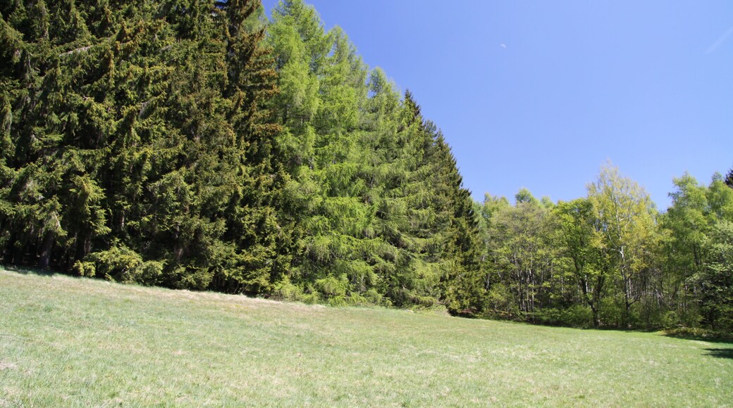 Natural reserve Nad Zavírkou near Stachy village in Prachatice District, Czech Republic