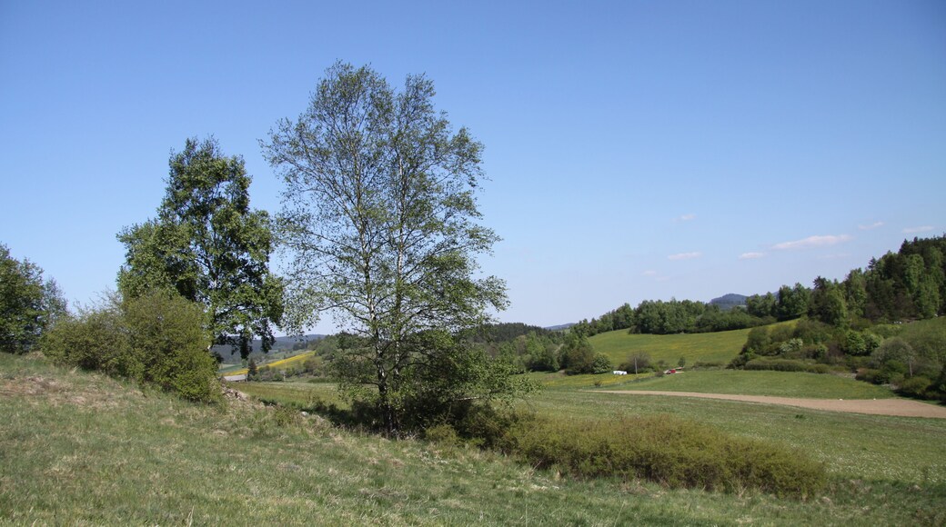 Natural monument U Narovců near Onšovice village in Prachatice District, Czech Republic