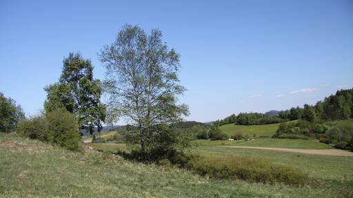 Natural monument U Narovců near Onšovice village in Prachatice District, Czech Republic