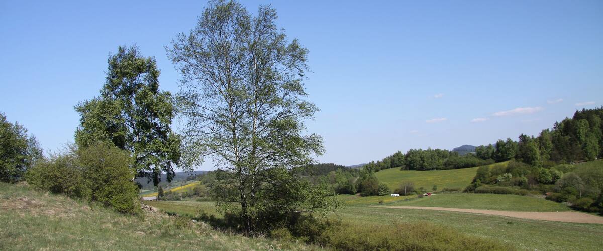 A grassy field with a large tree, rolling hills, and a clear blue sky.