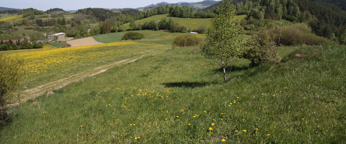 Natural monument U Narovců near Onšovice village in Prachatice District, Czech Republic