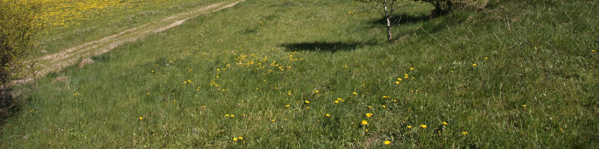 Natural monument U Narovců near Onšovice village in Prachatice District, Czech Republic