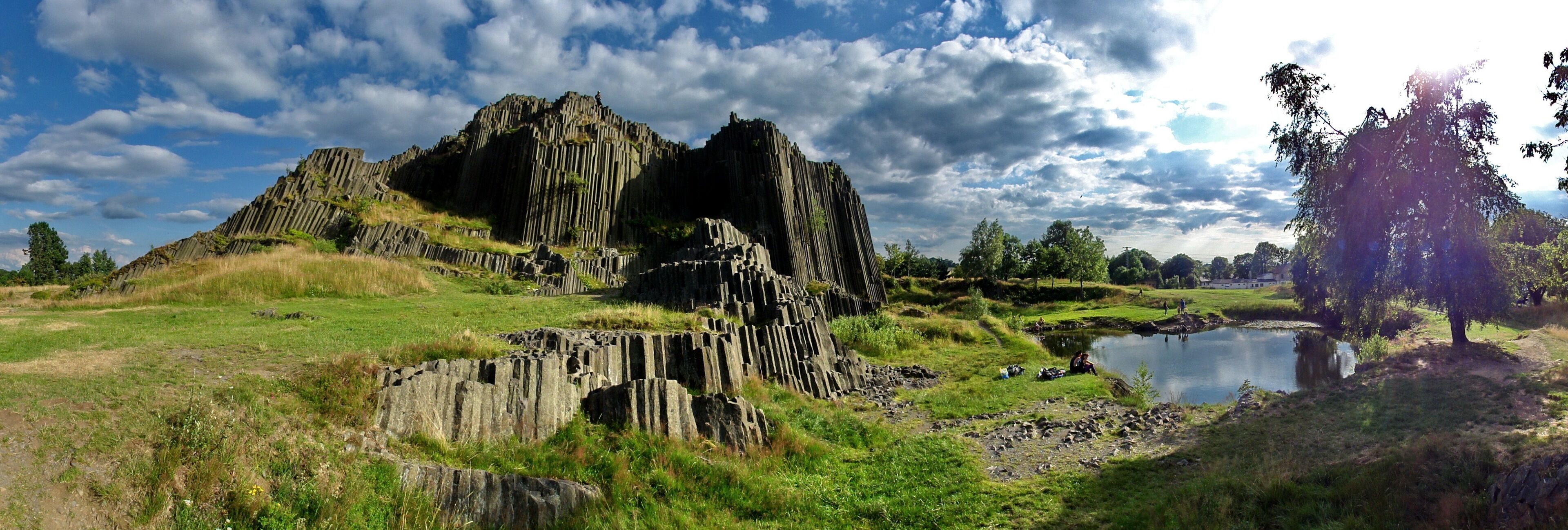 A rocky landscape with a pond and a large tree.