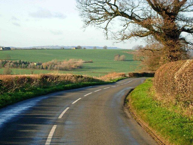 A rural road curving through fields with a large tree on the right.