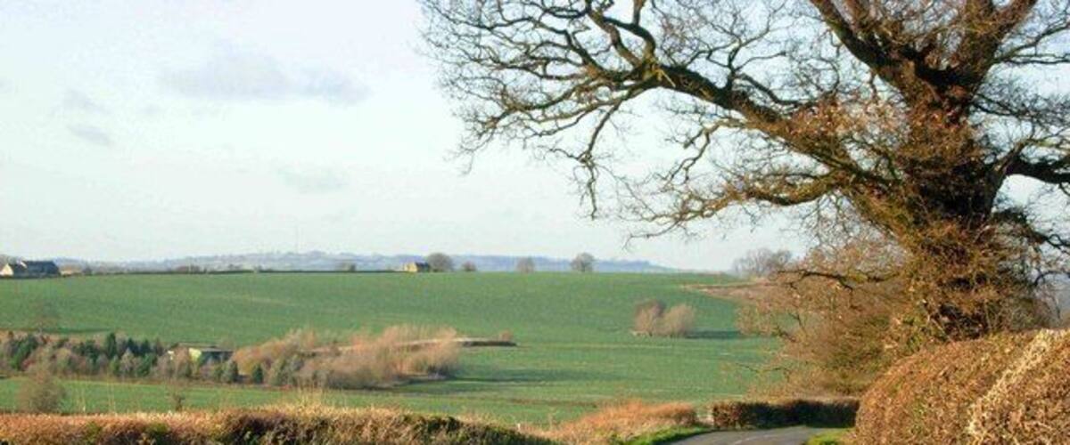 A rural road curving through fields with a large tree on the right.