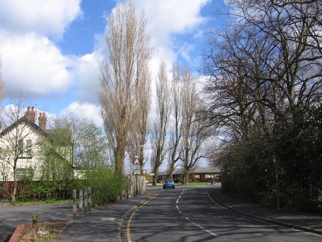 Tall Trees Penketh Looking along Greystone Road to the junction with Meeting Lane.