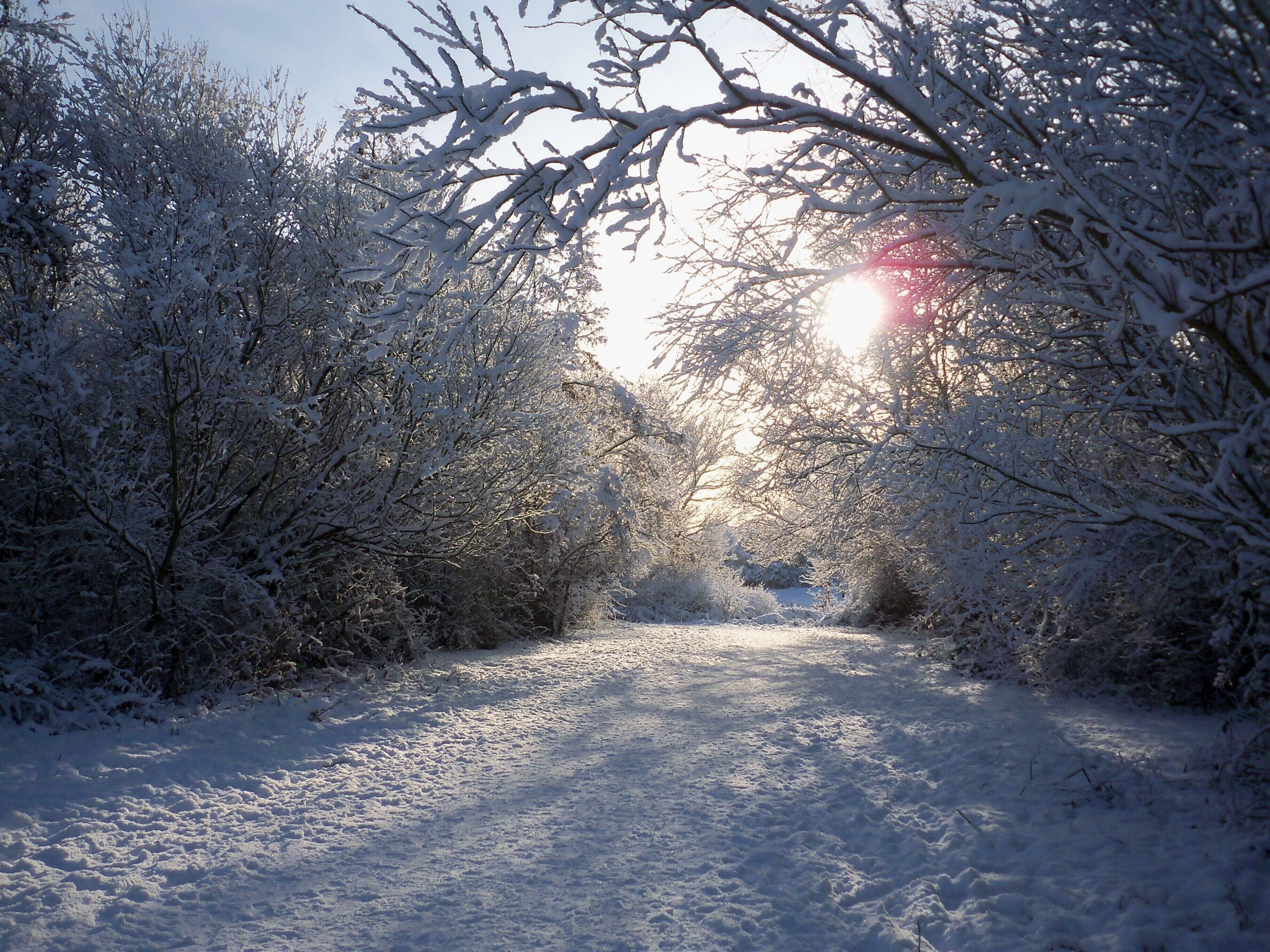 Great Sankey Linear Park Snowy day in the park at Great Sankey,taken in January 2010.