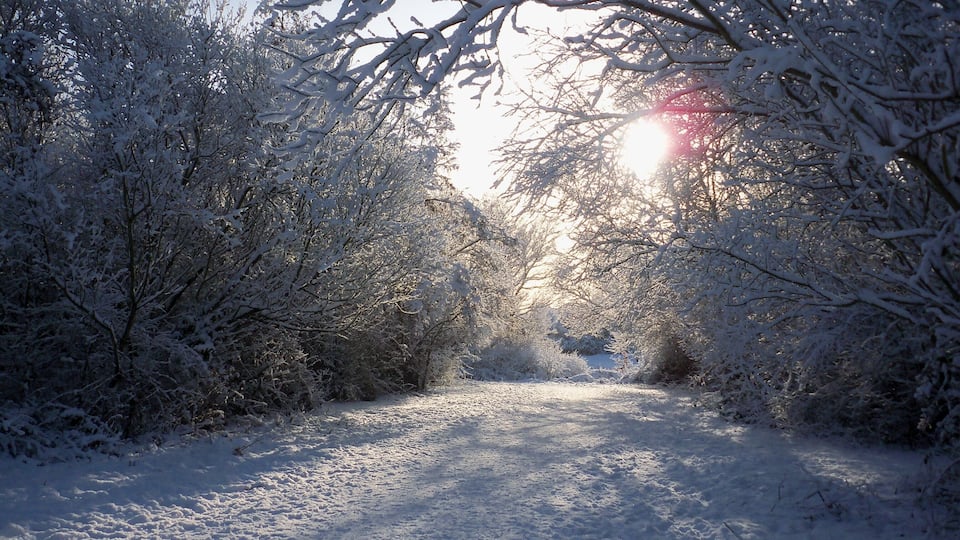 Great Sankey Linear Park Snowy day in the park at Great Sankey,taken in January 2010.