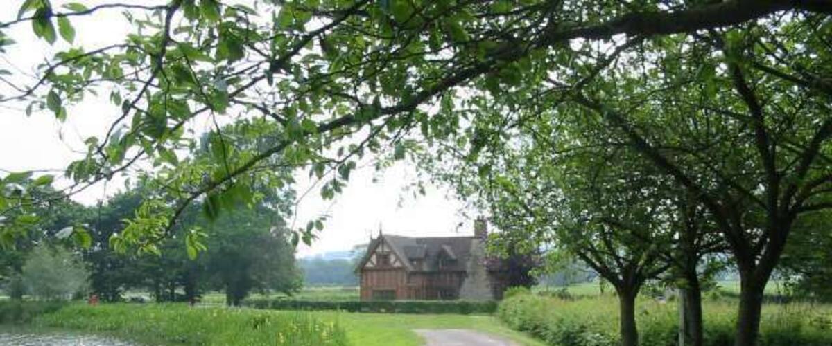 A rural path leading to a wooden house by a pond.