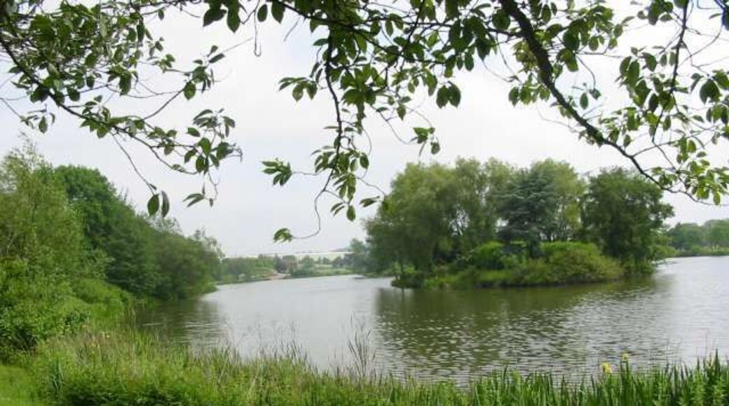 JCB Lake at Rocester. This lake forms part of the landscaped area surrounding the JCB factory at Rocester. The lake is used by the company angling club and is also accessible to the public.