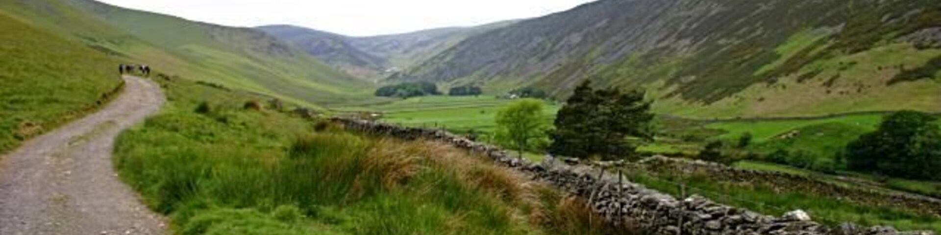 Mosedale. Just west of Bowscale, looking along the track that leads to Bowscale Tarn.