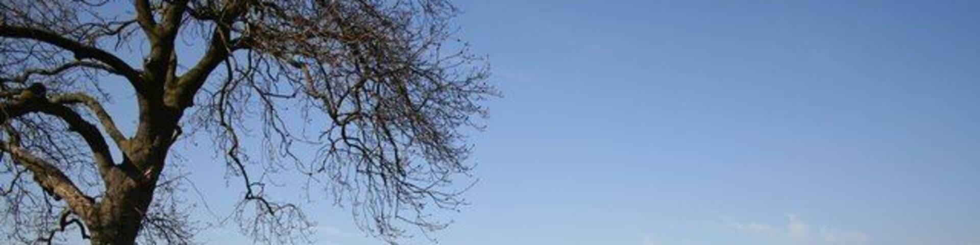 Ingram Lane View north between Sutton-on-Trent and Grassthorpe on Ingram Lane