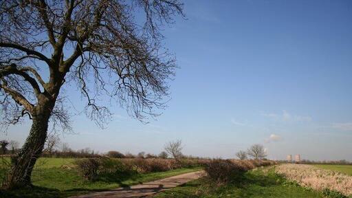 Ingram Lane View north between Sutton-on-Trent and Grassthorpe on Ingram Lane