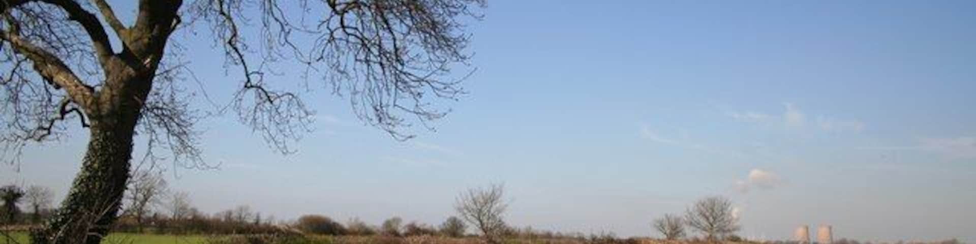 Ingram Lane View north between Sutton-on-Trent and Grassthorpe on Ingram Lane