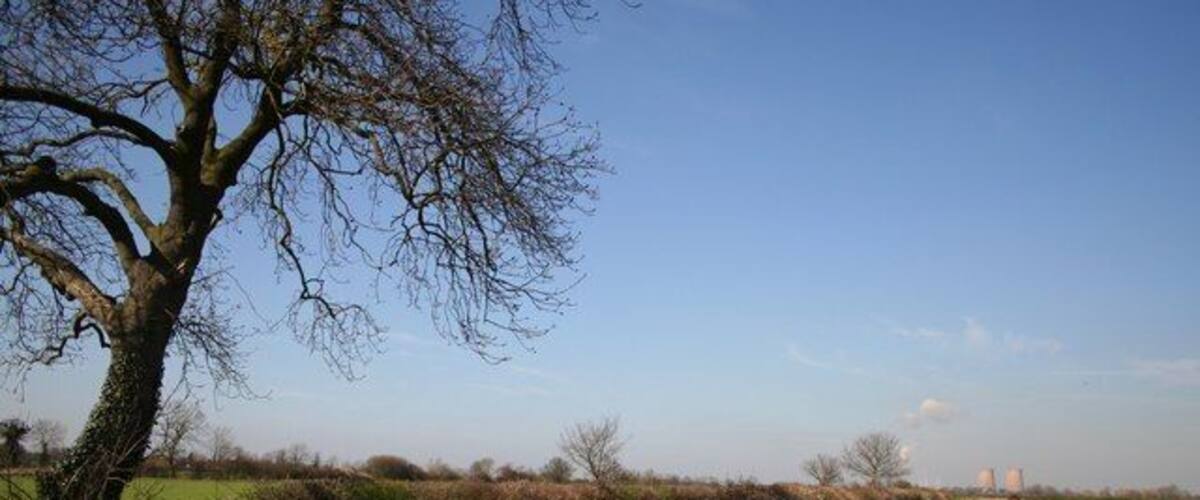 A rural path with a large tree on the left, a clear blue sky, and distant wind turbines.