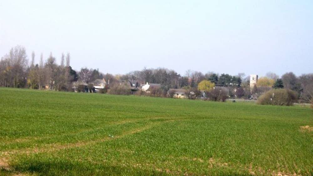 A green field with a path, trees, and buildings in the background.