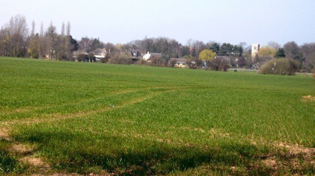 Brigsley from the south Taken from a footbridge over a beck to the north of Hall Farm. St Helens church is to the right of the picture.
