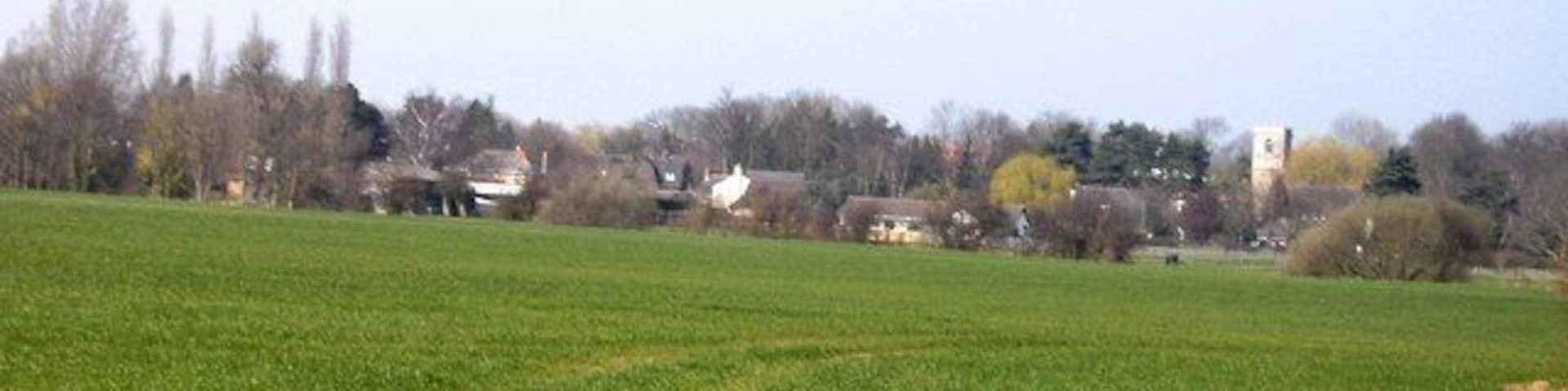 Brigsley from the south Taken from a footbridge over a beck to the north of Hall Farm. St Helens church is to the right of the picture.