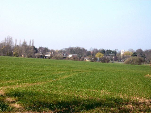 A green field with a path, trees, and buildings in the background.