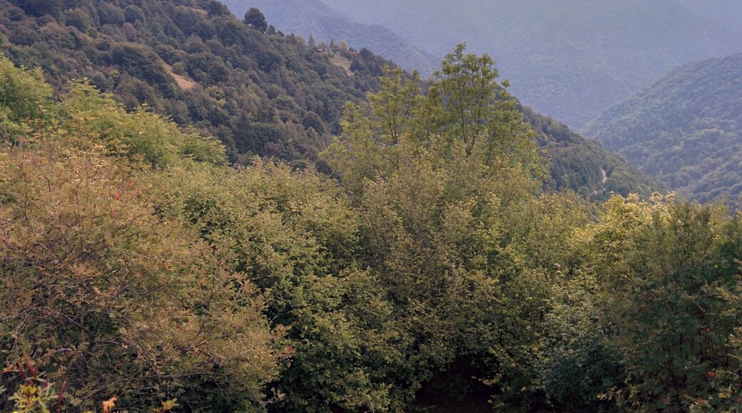 Panorama dal Tavagnù