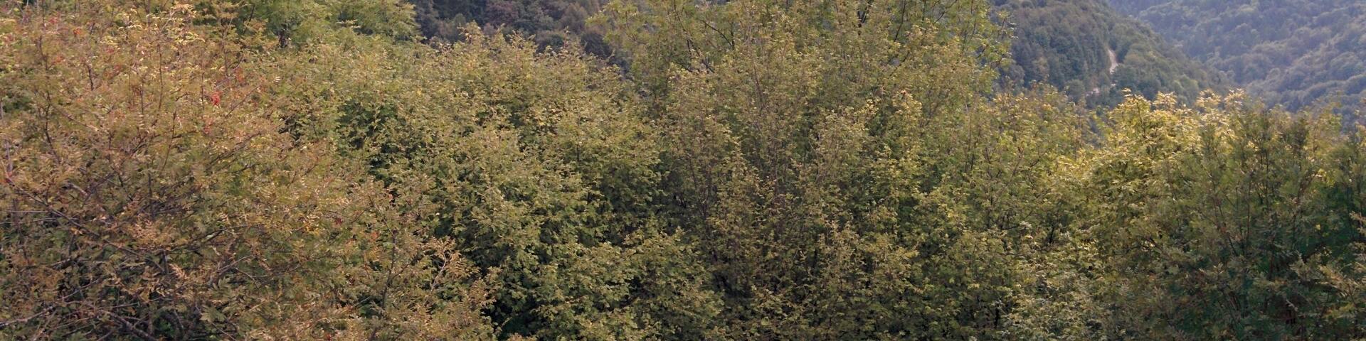 Panorama dal Tavagnù