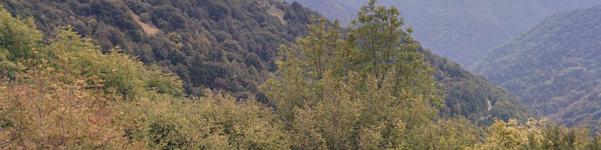 Panorama dal Tavagnù