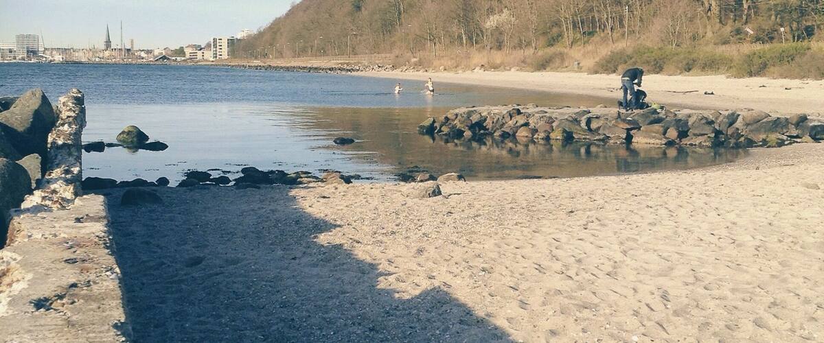 A beach with a rocky shoreline, calm water, and a forested hill in the background.