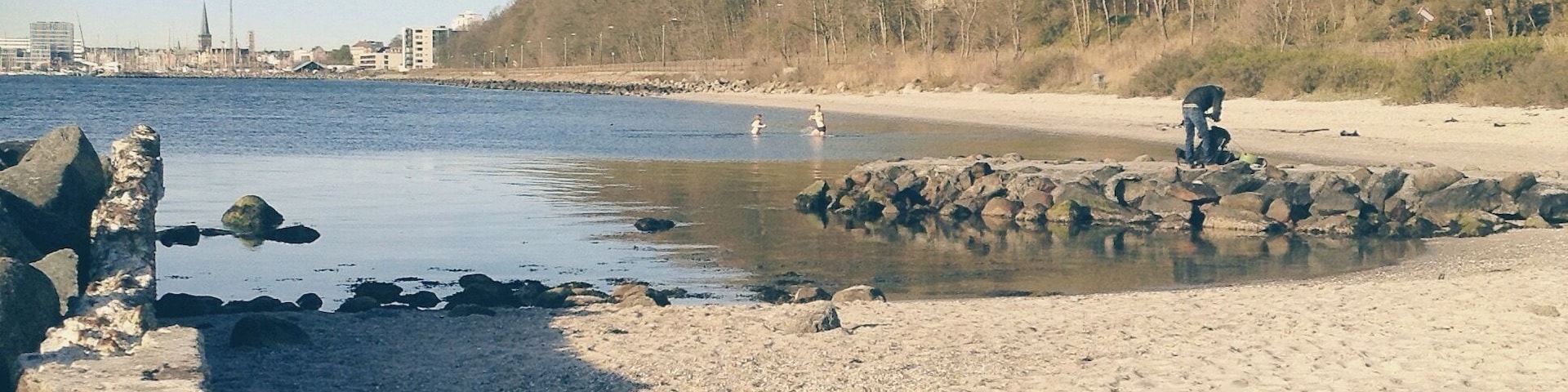 A beach with a rocky shoreline, calm water, and a forested hill in the background.