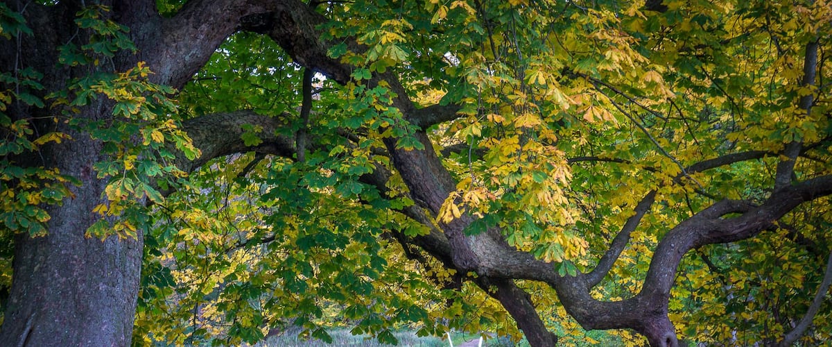 The Park located near moesgaard Museum. #mybackyard