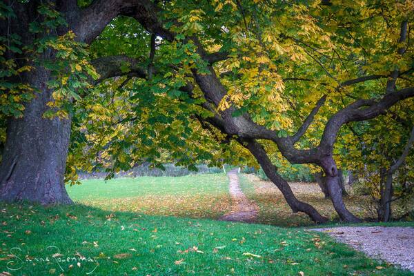 The Park located near moesgaard Museum. #mybackyard
