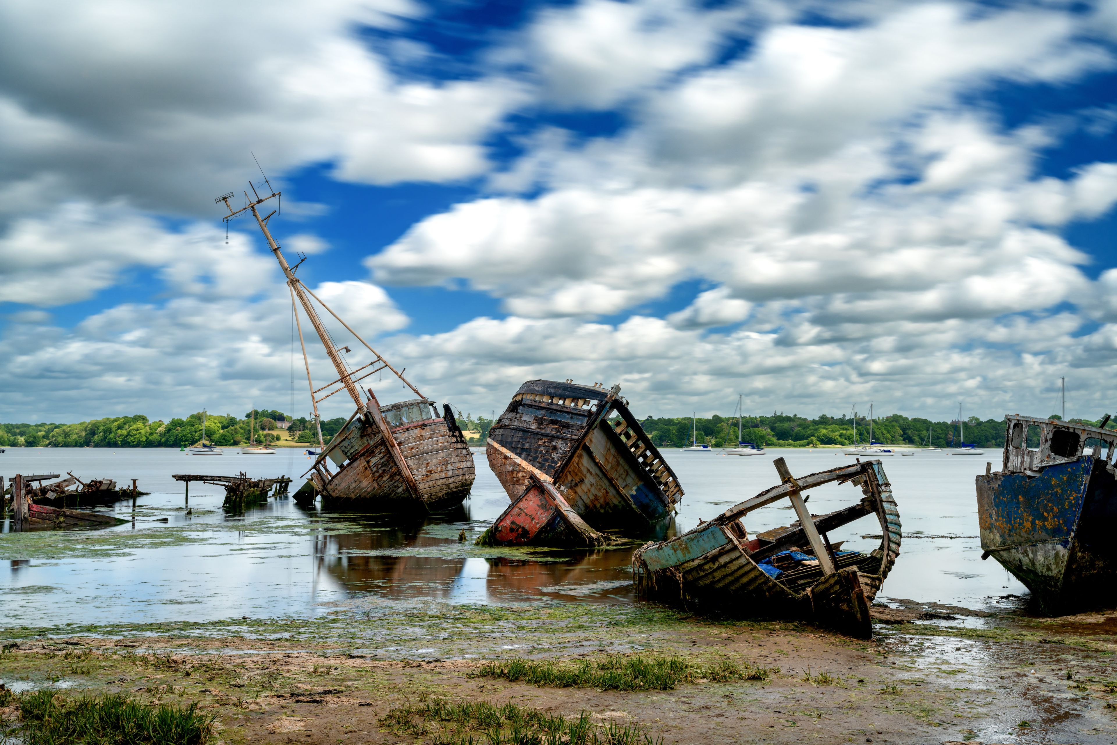 A riverbank with several sunken, rusted boats.