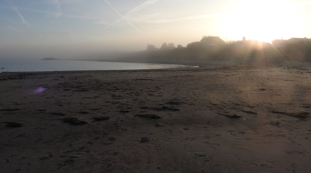 Early morning - early autumn