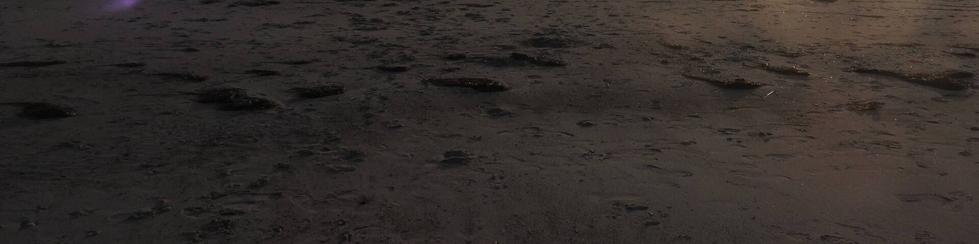 Early morning - early autumn